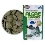 Hikari Algae Wafers 40g