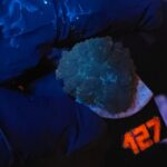 Rhodactis inchoata (127)