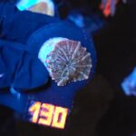 Discosoma watermelon (130)