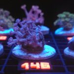 Goniopora lobata INDYGO (146)