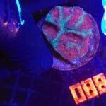 Goniastrea Dark Red (088)