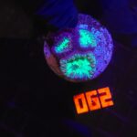 Blastomussa wellsi (062)