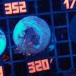 Clavularia Papaya (320)