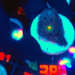 Ricordea yuma Special Colored (388)