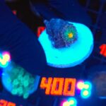 Ricordea yuma Special Colored (400)