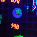 Caulastrea furcata mint (148)