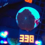 Rhodactis inchoata (338)