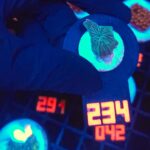 Discosoma watermelon (234)