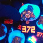 Zoanthus Lord of the Rings Premium (372)