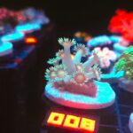 Goniopora Yellow Center (008)