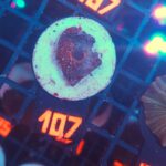 Discosoma Ruby Red (107)