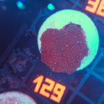 Discosoma Ruby Red (129)
