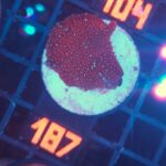 Discosoma Ruby Red (187)