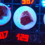 Discosoma Ruby Red (129)