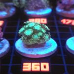 Alveopora Green (360)