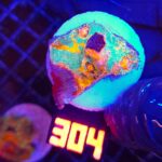 Echinophyllia RAINBOW PREMIUM (304)