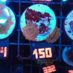Discosoma Leopard (150)