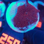 Discosoma Ruby Red (250)