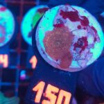 Discosoma Leopard (150)