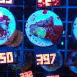 Rhodactis Green - Orange Rim (397)